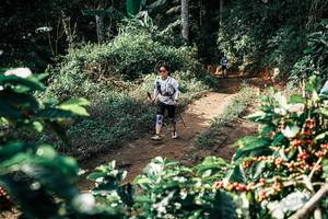 BIB: 
                            <button type="button" onclick="openModal(25856829)" class="btn btn-primary btn-sm float-right btn-popup" data-toggle="modal" data-target=".modal-high-quality">
                        <i class="fas fa-shopping-cart"></i> Add to Cart
                    </button>
                                            <button type="button" onclick="isThisMe(25856829, true)" class="btn btn-success btn-sm float-right btn-popup btn-isme hidden" data-toggle="tooltip" data-placement="bottom" title="นี่คือรูปของคุณใช่ไหม คลิกที่นี่เพื่อเอาเข้าอัลบั้ม">
                        <i class="fas fa-plus"></i> Add to album
                    </button>
                    <button type="button" onclick="isThisMe(25856829, false)" class="btn btn-warning btn-sm float-right btn-popup btn-isnotme hidden">
                        <i class="fas fa-ban"></i> Remove from album
                    </button>